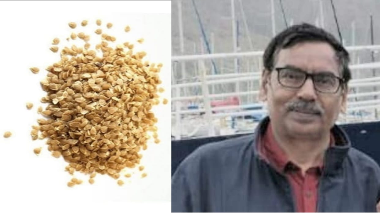 Central Potato Research Institute Shimla  develop True Potato Seed