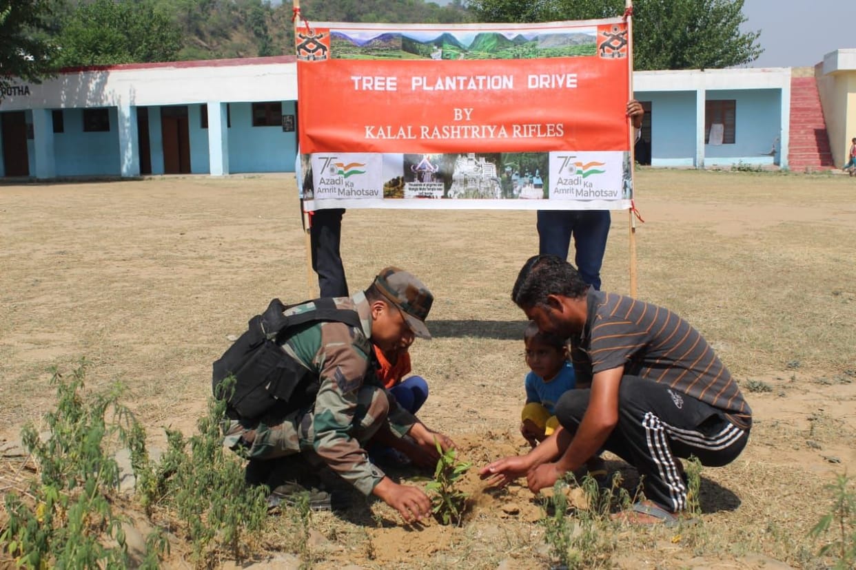 tree plantation