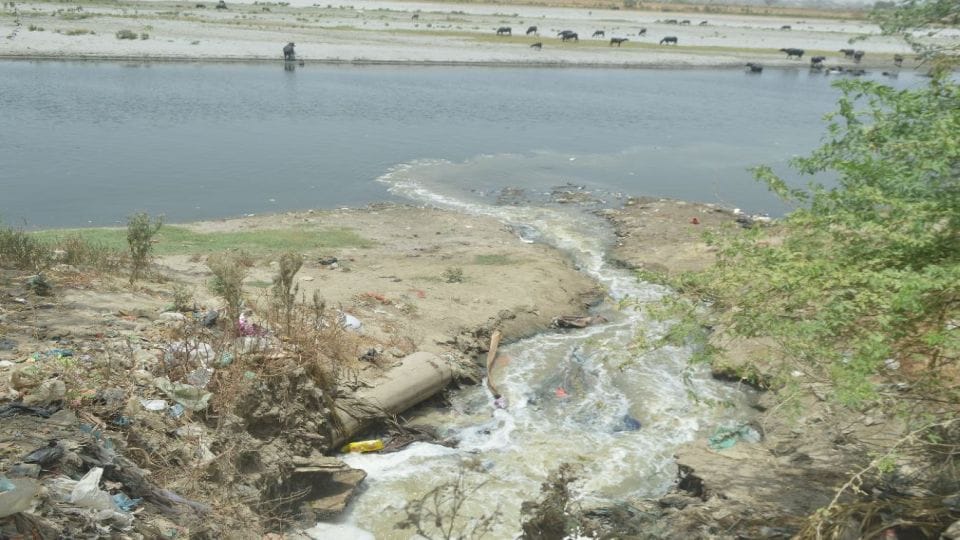 Two crore liters of dirty water falling in Yamuna every day