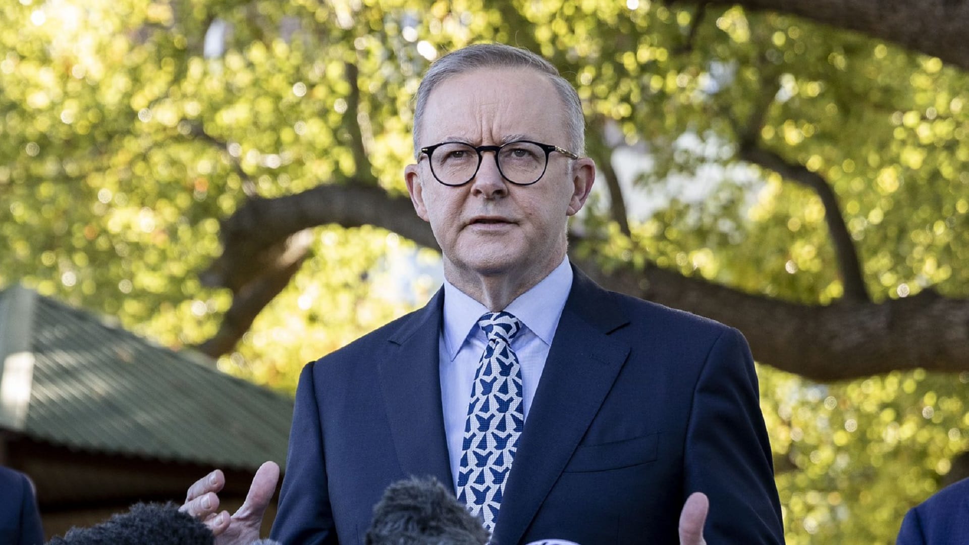 Anthony Albanese, एंथनी अल्बनीस