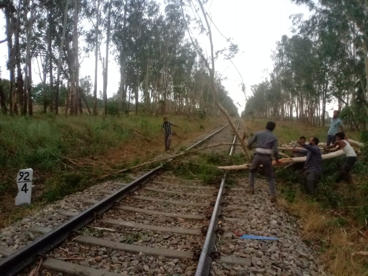 Due to the storm, three trains got delayed due to falling of trees on the railway track.