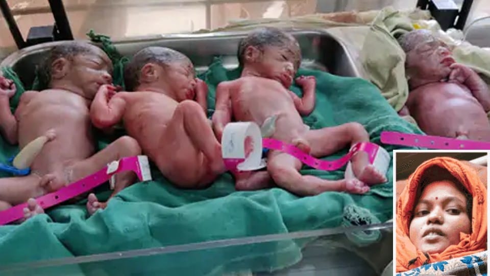 Unique Case in MP: Woman gave birth to four children in Balaghat, family said - got four times happiness