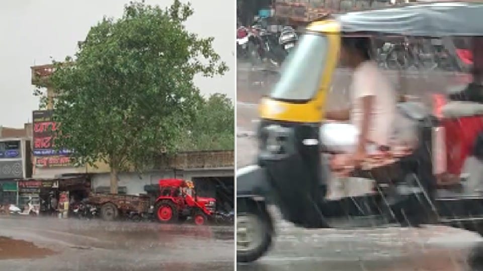 Pre Monsoon in MP: rain in Satna-Chhatarpur, many trees and poles collapsed due to strong winds