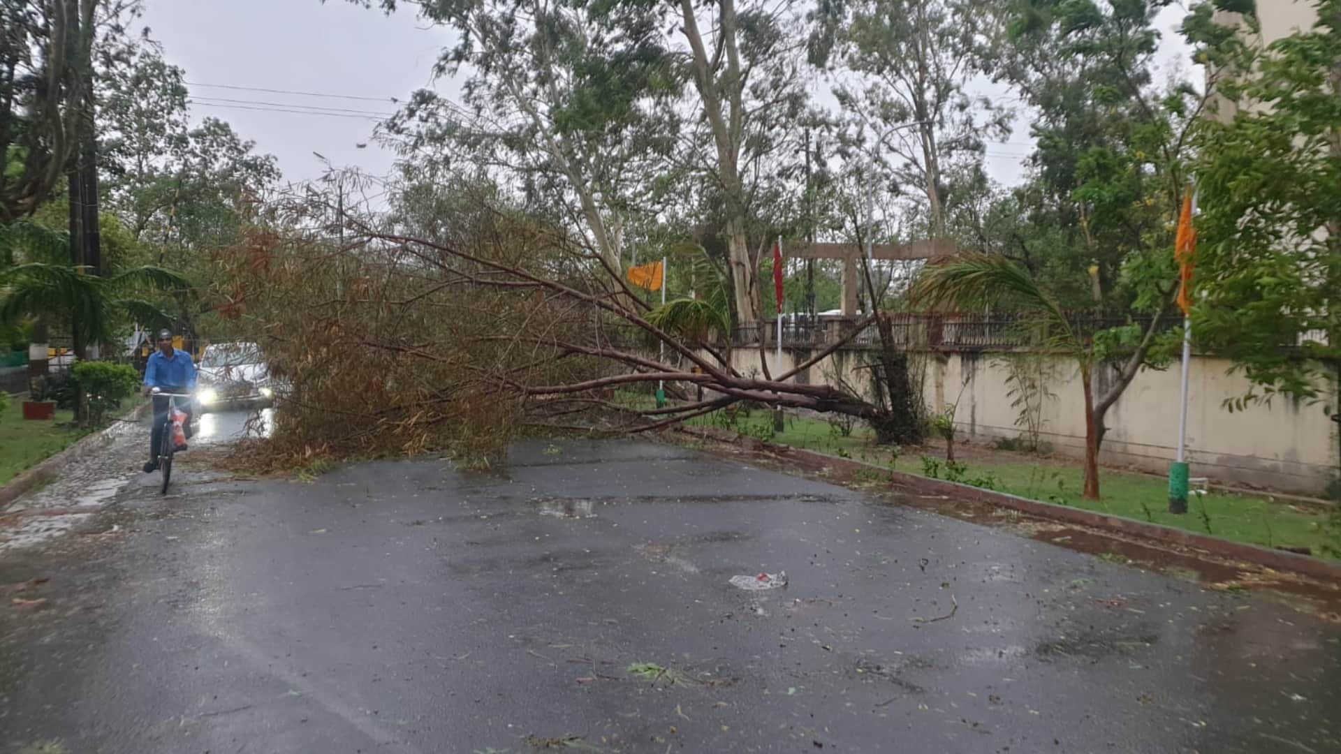 Delhi ncr receives heavy rainfall with strong thunder shower hailstorm in few areas waterlogging trees falling see photos