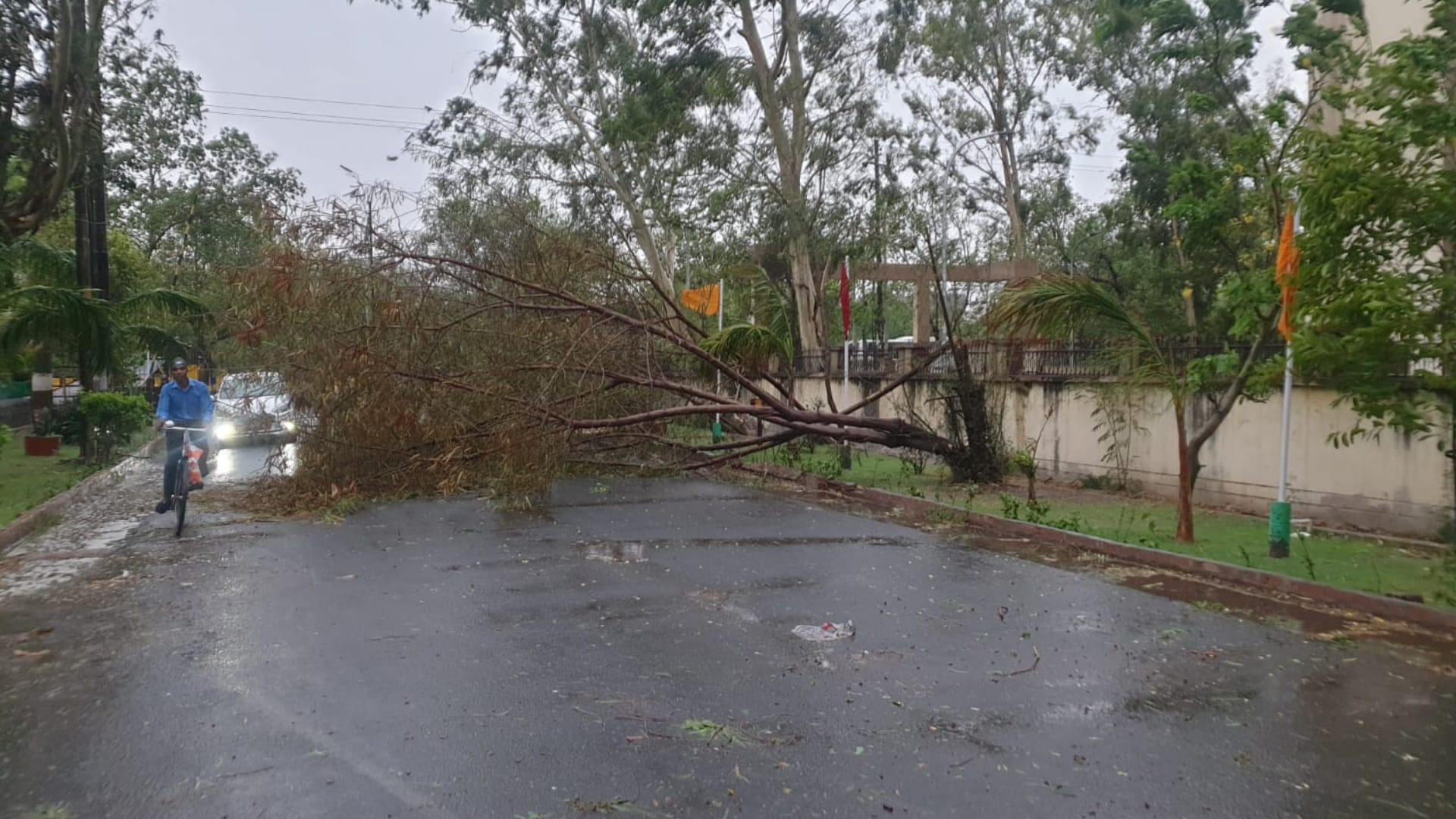 Delhi ncr receives heavy rainfall with strong thunder shower hailstorm in few areas waterlogging trees falling see photos