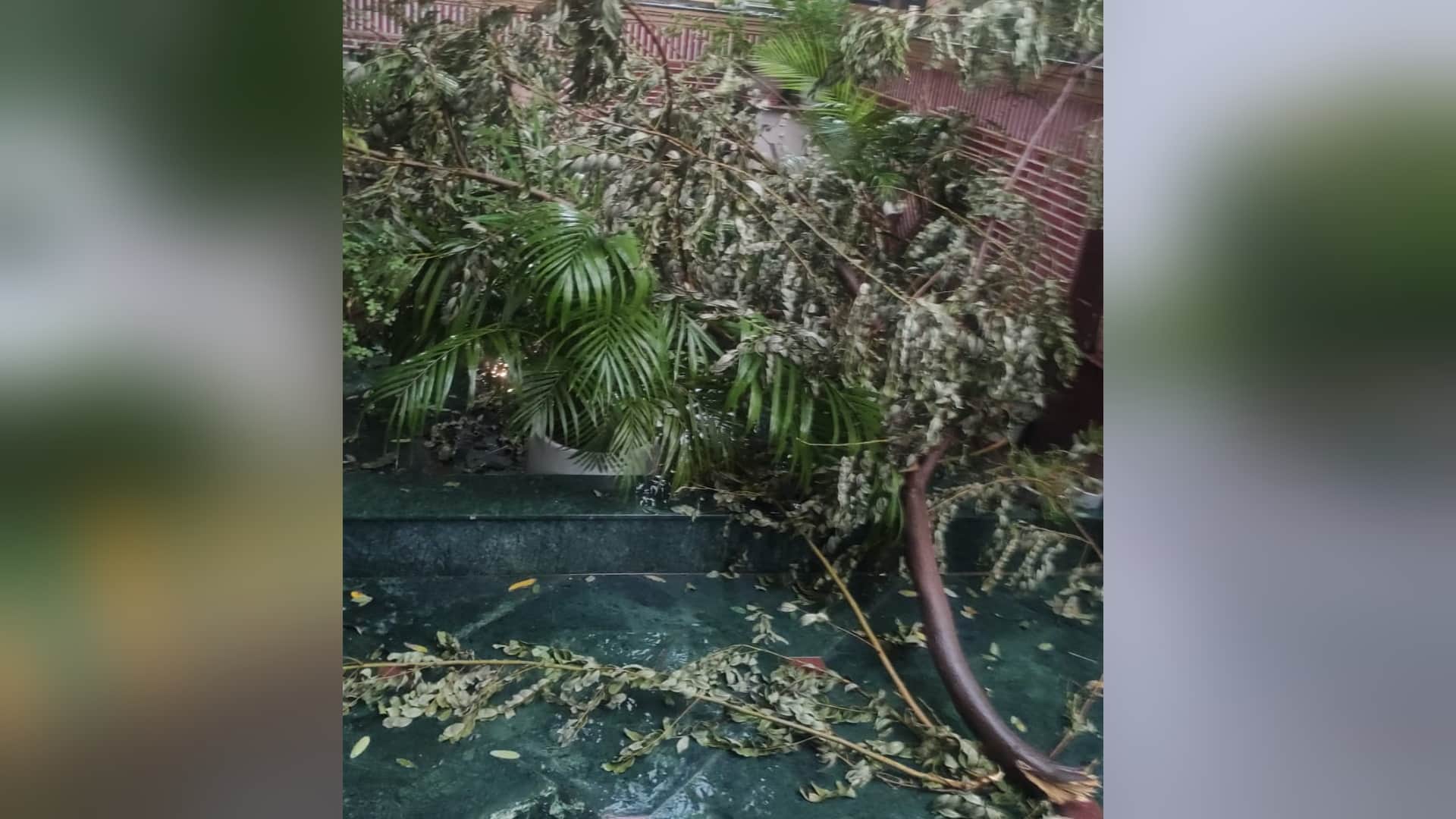 Delhi ncr receives heavy rainfall with strong thunder shower hailstorm in few areas waterlogging trees falling see photos