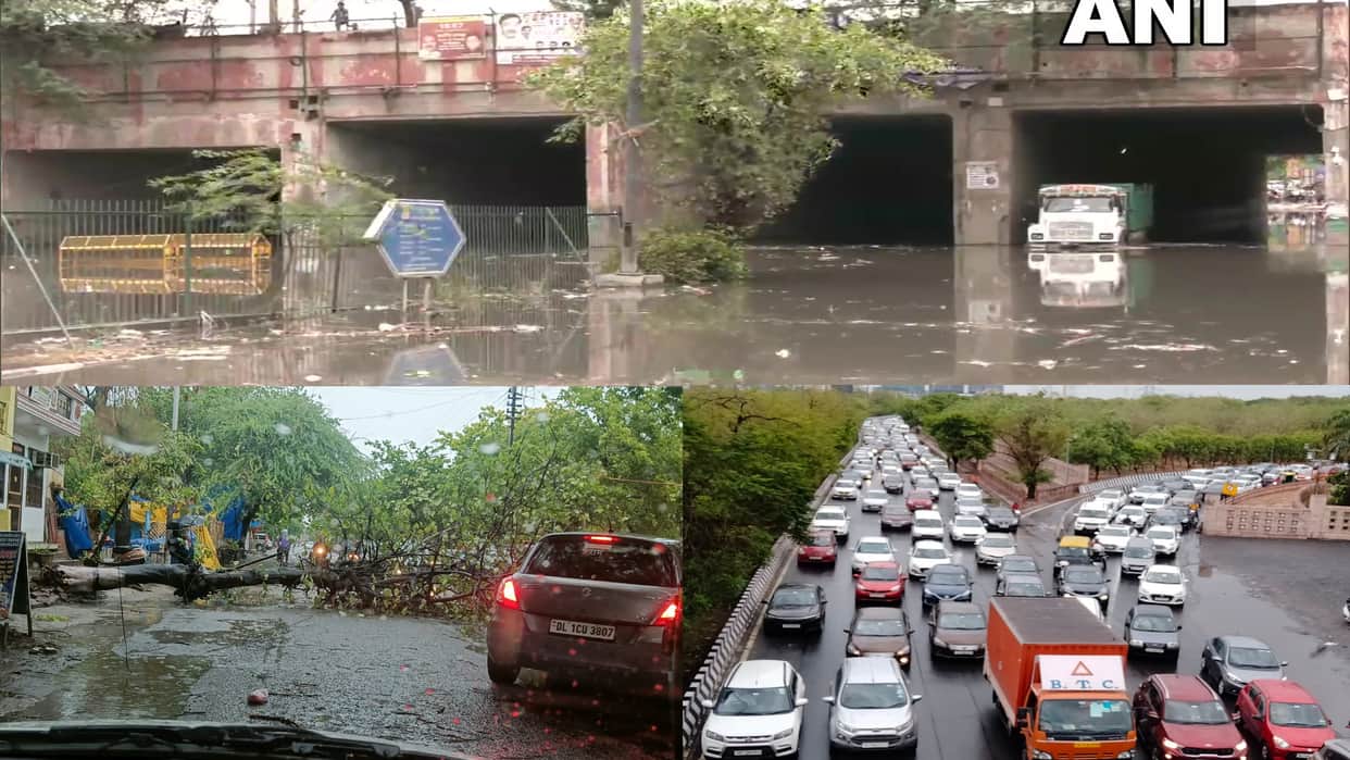 Delhi ncr receives heavy rainfall with strong thunder shower hailstorm in few areas waterlogging trees falling see photos
