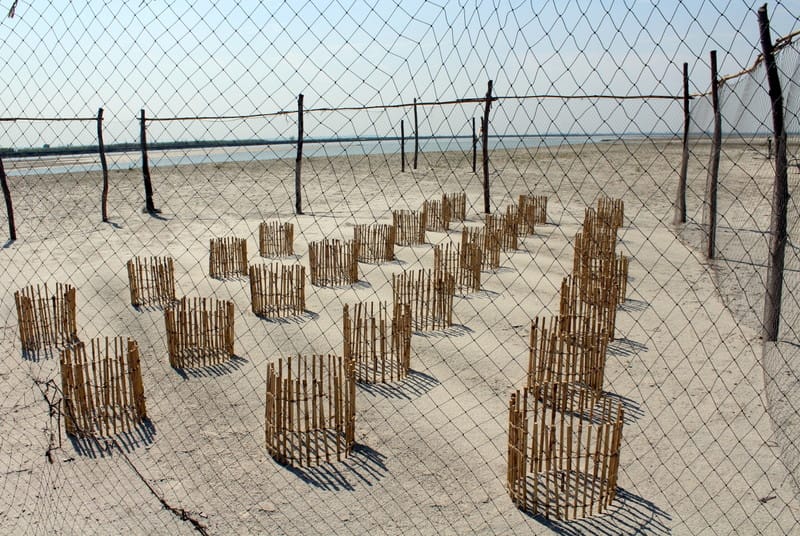 Turtle protection will also be on the banks of Garra and Khannaut