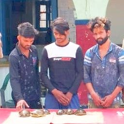 Three smugglers caught with banned creatures