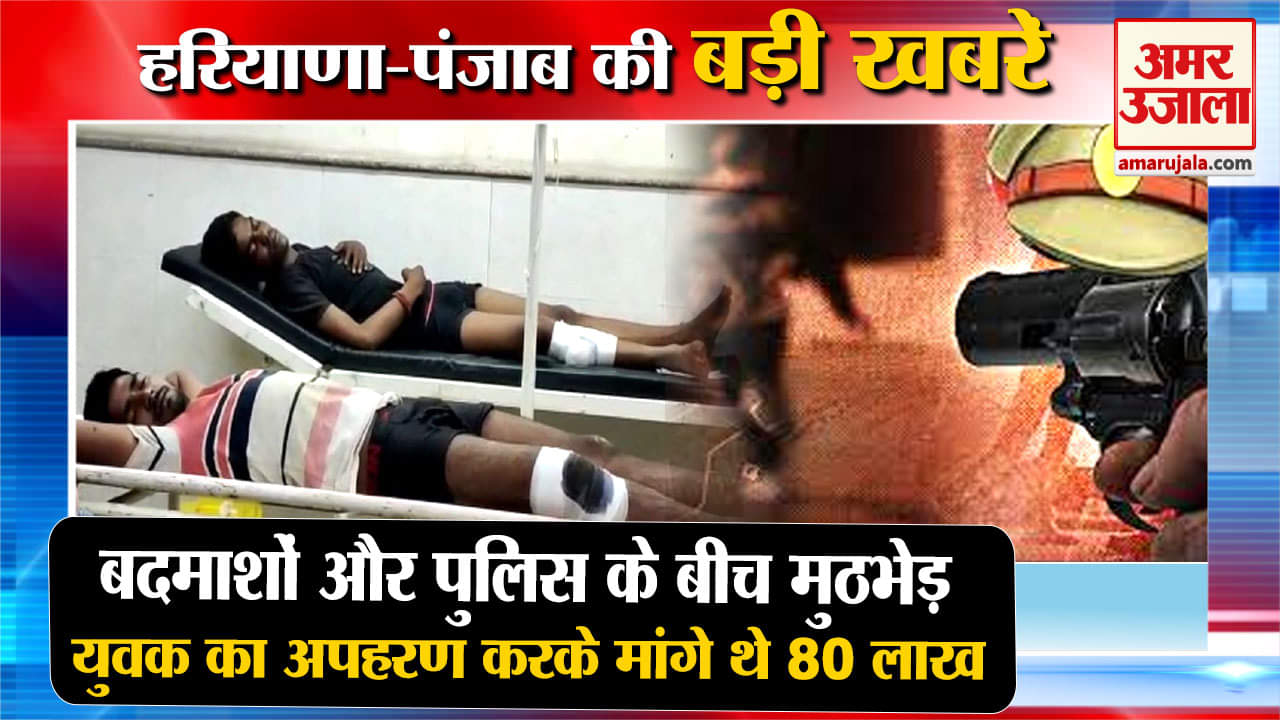 हरियाणा न्यूज