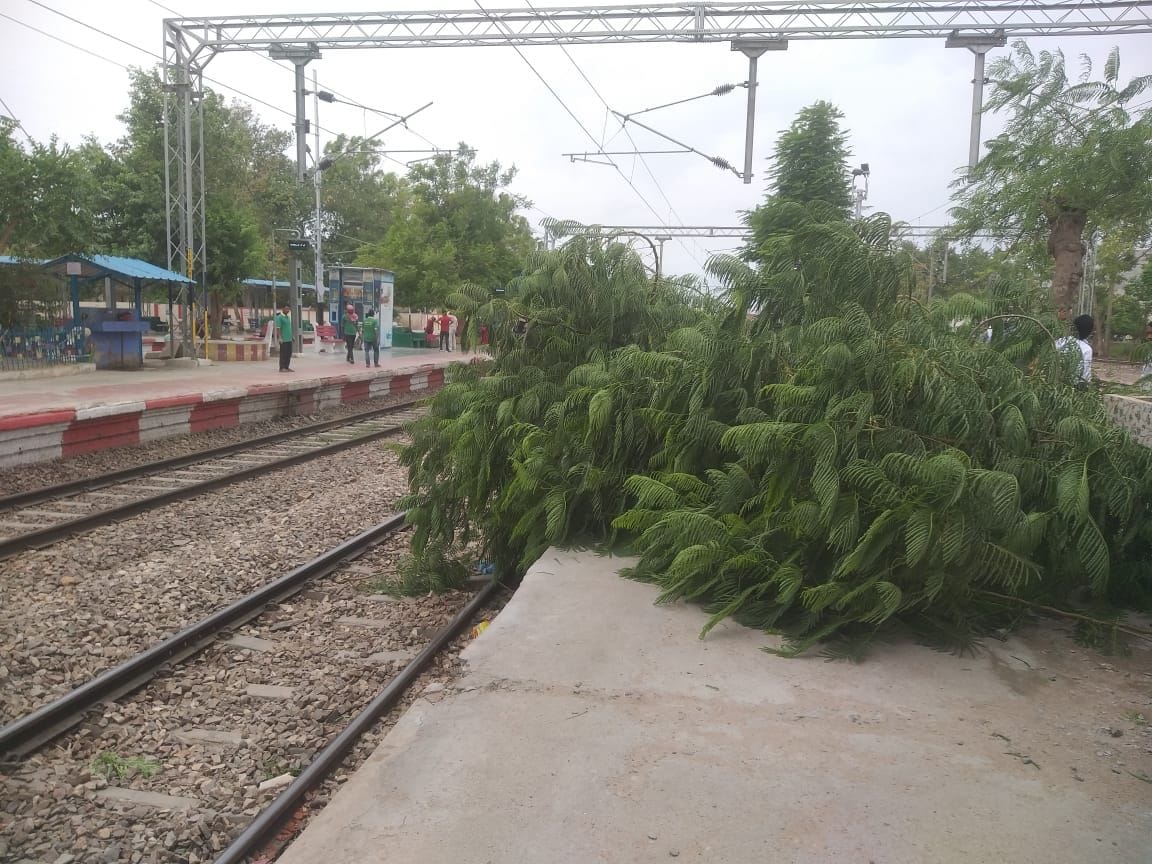 Lightning struck in Etawah, teenager died