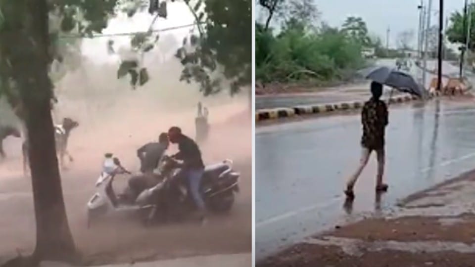 Pre Monsoon in MP: rain in Satna-Chhatarpur, many trees and poles collapsed due to strong winds