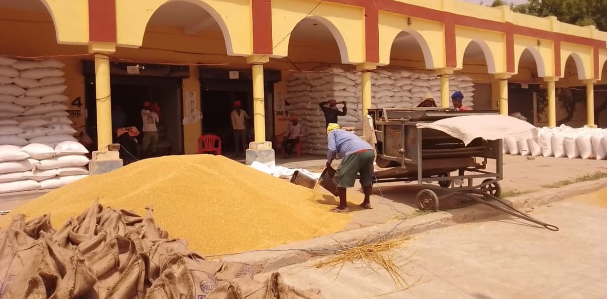 Wheat procurement could not be done even 10 percent in 53 days in the district