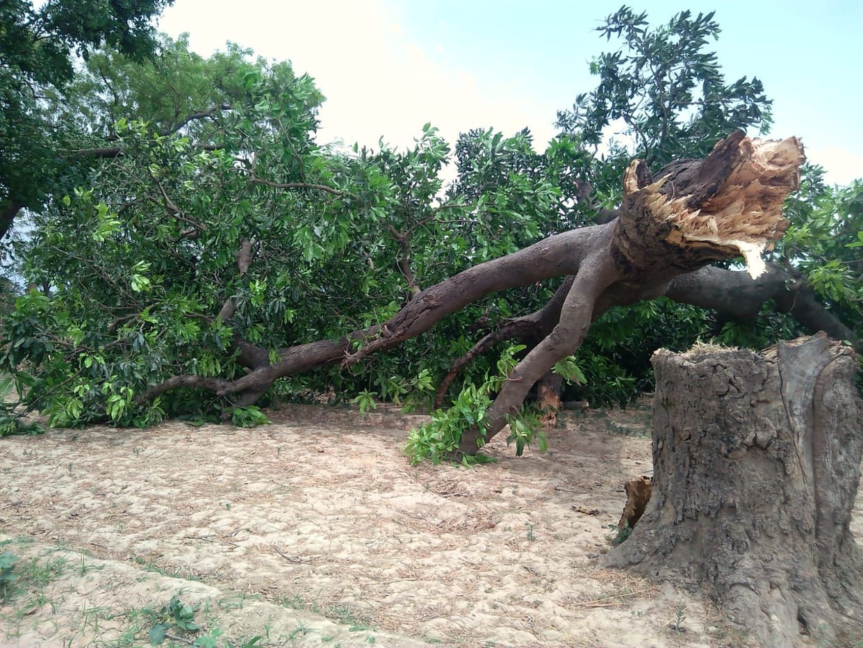 The storm caused havoc, the death of the villager and the power failure of 200 villages