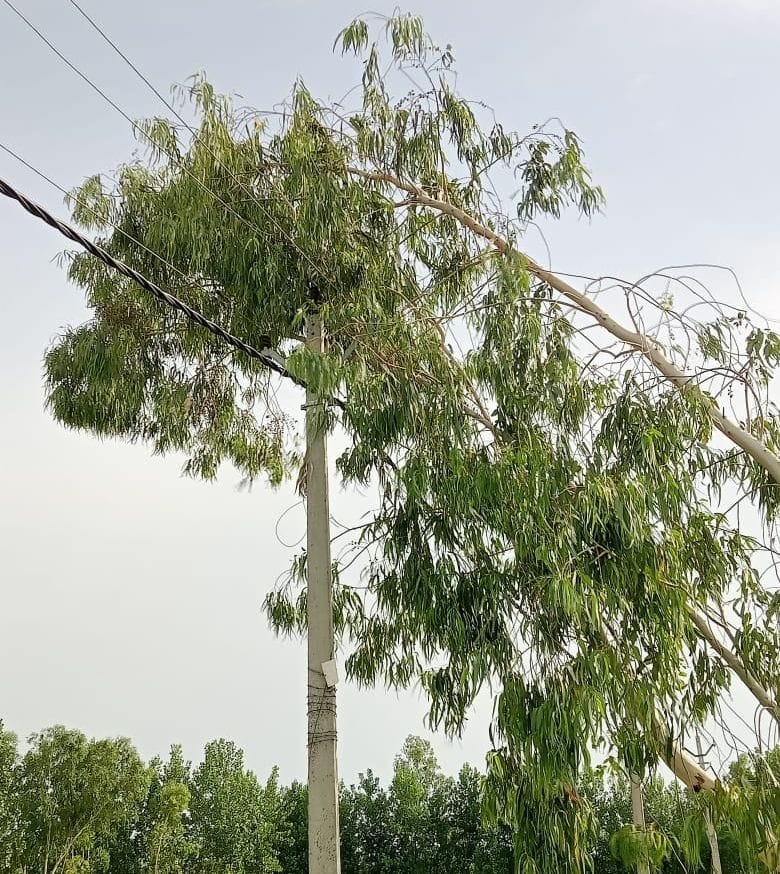 The city suffered nine and the countryside suffered power cuts for 13 hours.