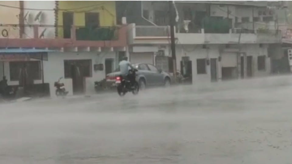 Pre Monsoon in MP: rain in Satna-Chhatarpur, many trees and poles collapsed due to strong winds