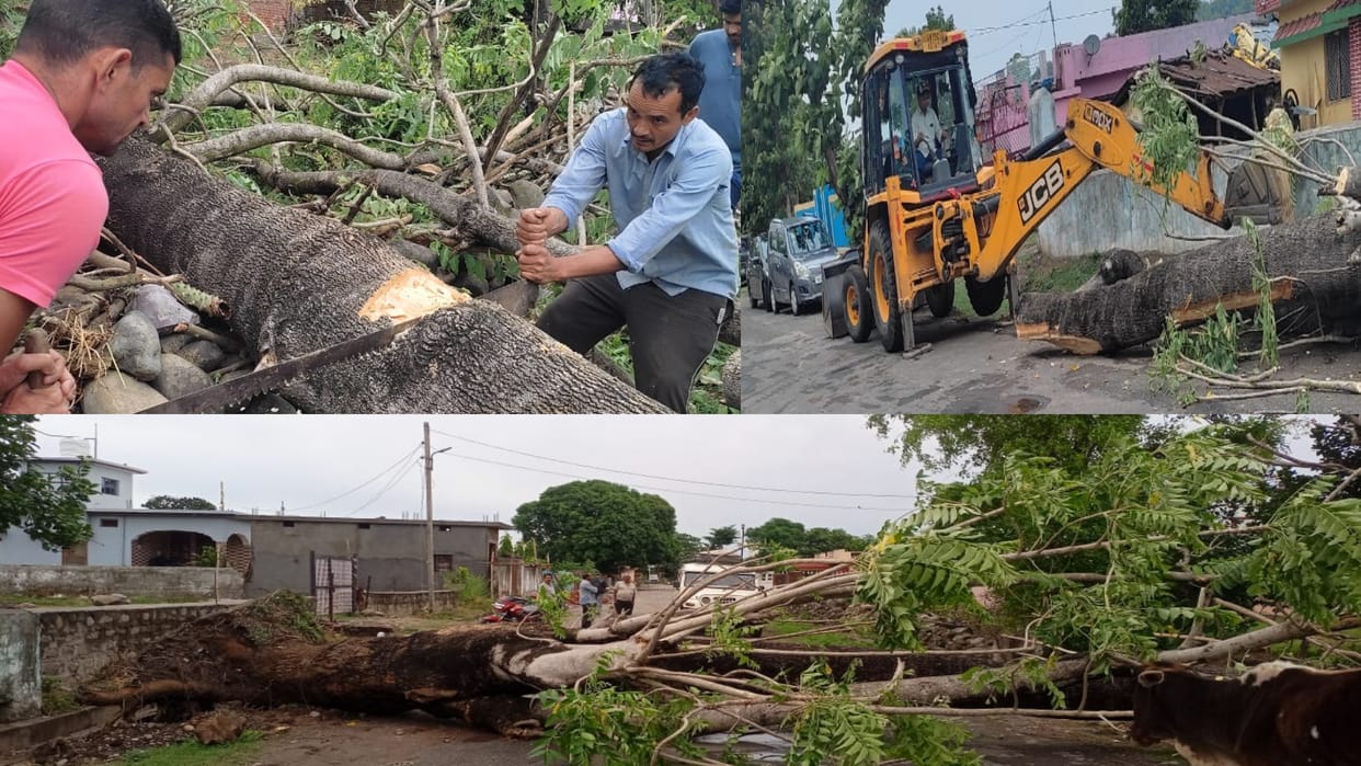 Weather update, Rain and storm in Uttarakhand increased the difficulty, one died due to being buried under a tree, See Photos