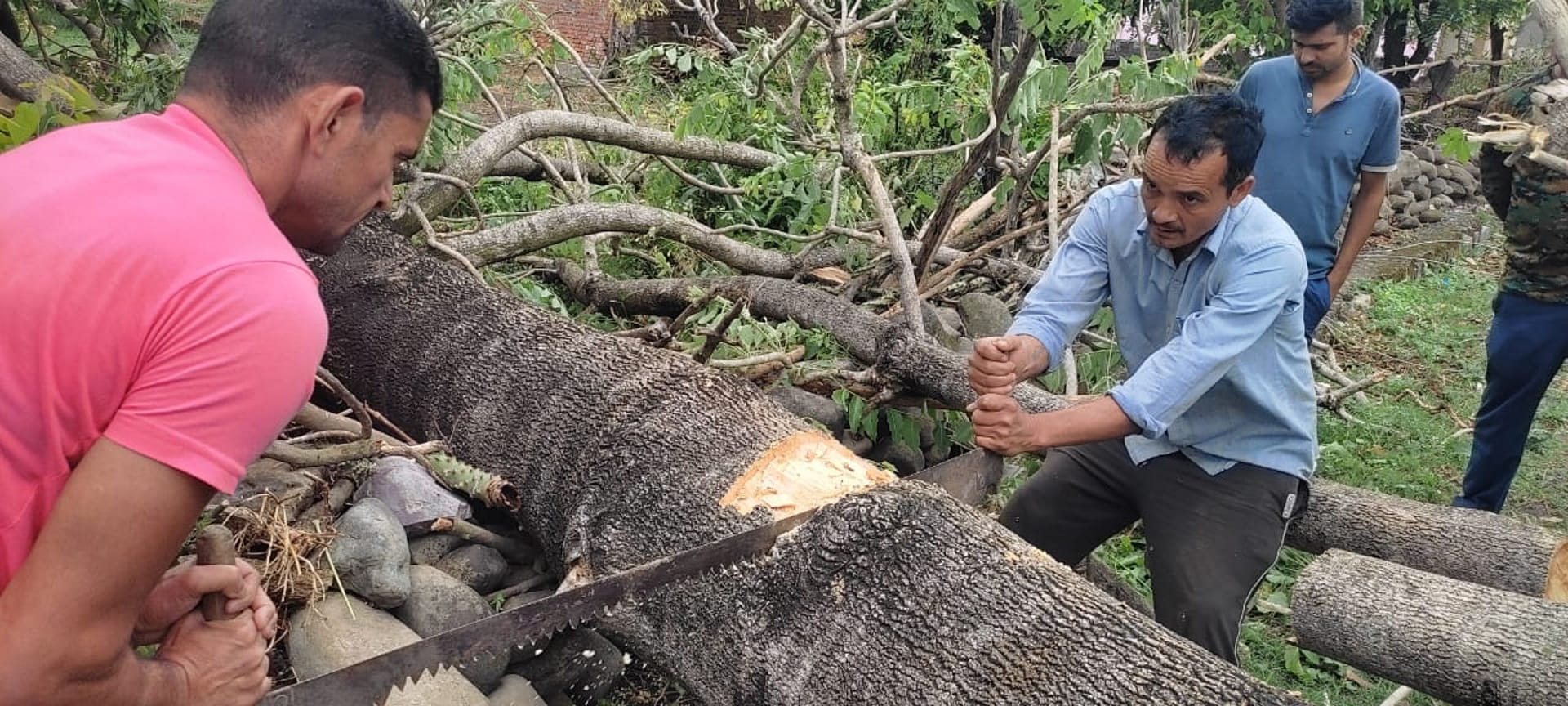 Weather update, Rain and storm in Uttarakhand increased the difficulty, one died due to being buried under a tree, See Photos