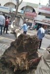 Rain of relief, storm became a disaster