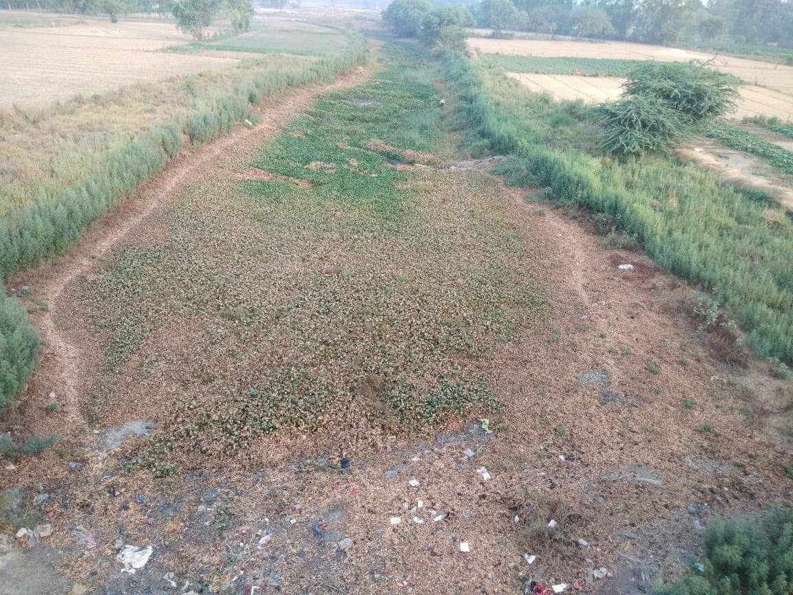 Kalyani's cleaning campaign lasted only two days