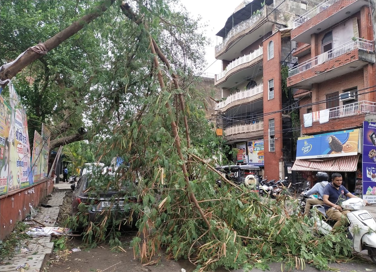 Delhi: Temperature dropped by 9 degrees, wind speed 60-90 kmph, 80 trees fell, 100 flights delayed, 19 diverted
