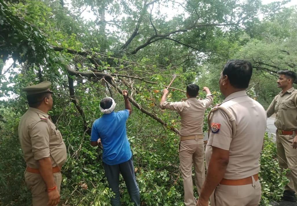 Power cut due to storm and rain, supply could be restored after 11 hours