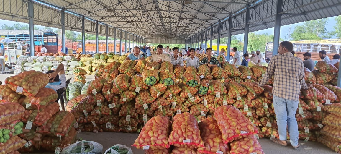 20 trucks laden with mangoes broken in storm reached Mandi