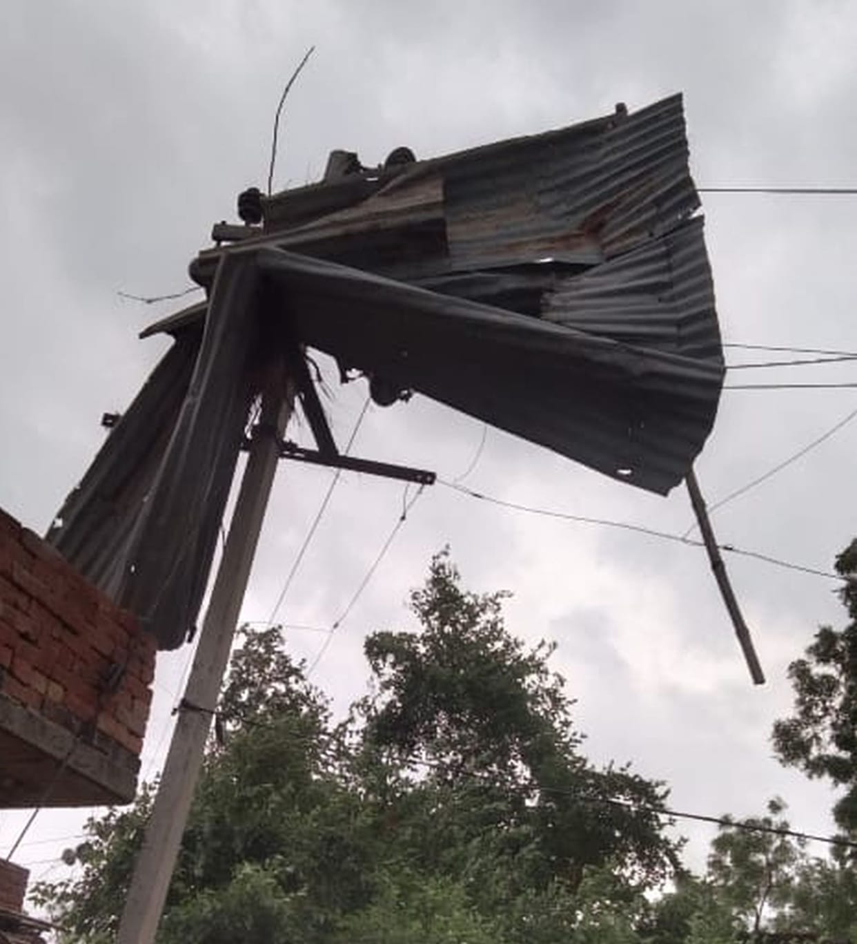 goshala,farrukhabad news,aandhi
