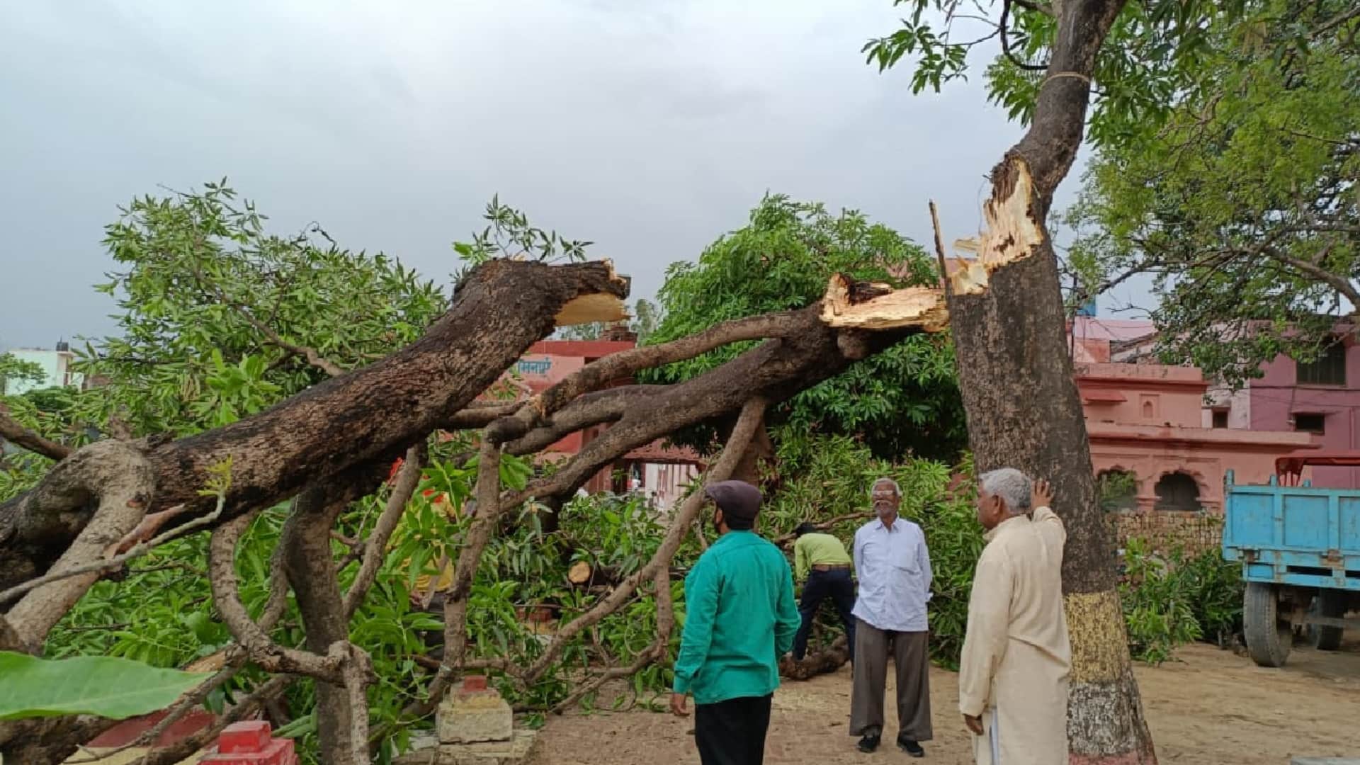 Weather changed due to storm and rain in gorakhpur