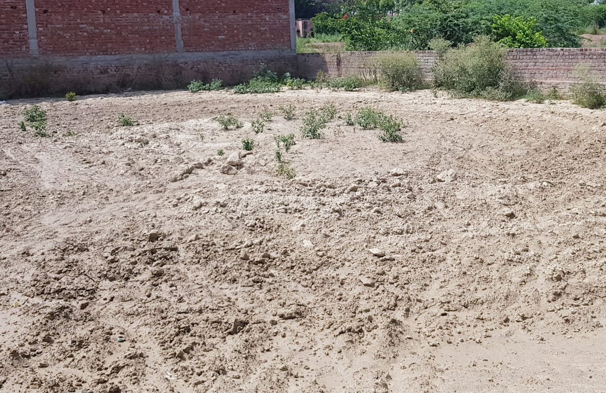 Illegal mining of soil going on under the guise of exemption