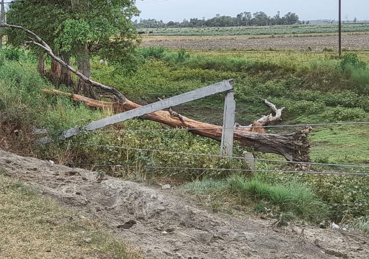 farrukhabad news,bijli samasya,pani,aandhi