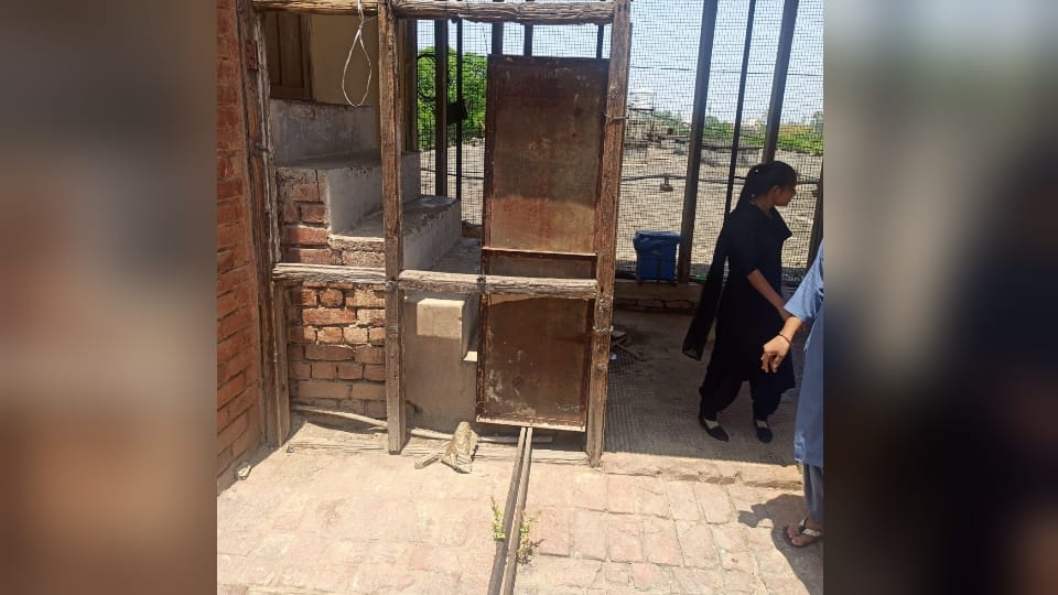 Man Found hanged in Rohtak PGI Ward roof