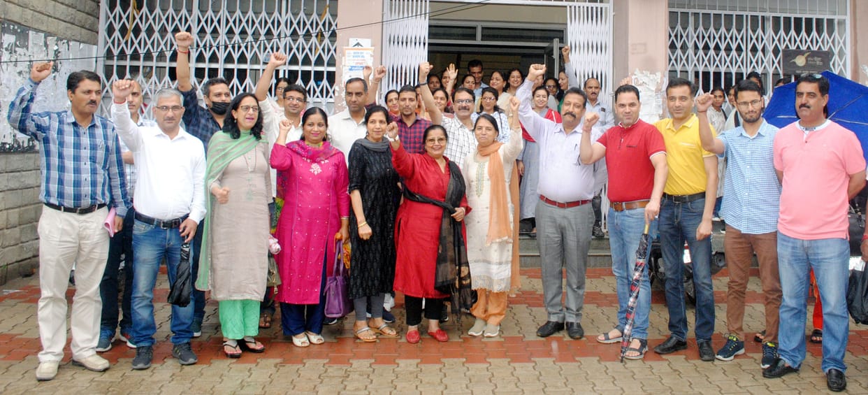 College teachers staged a sit-in in Mandi