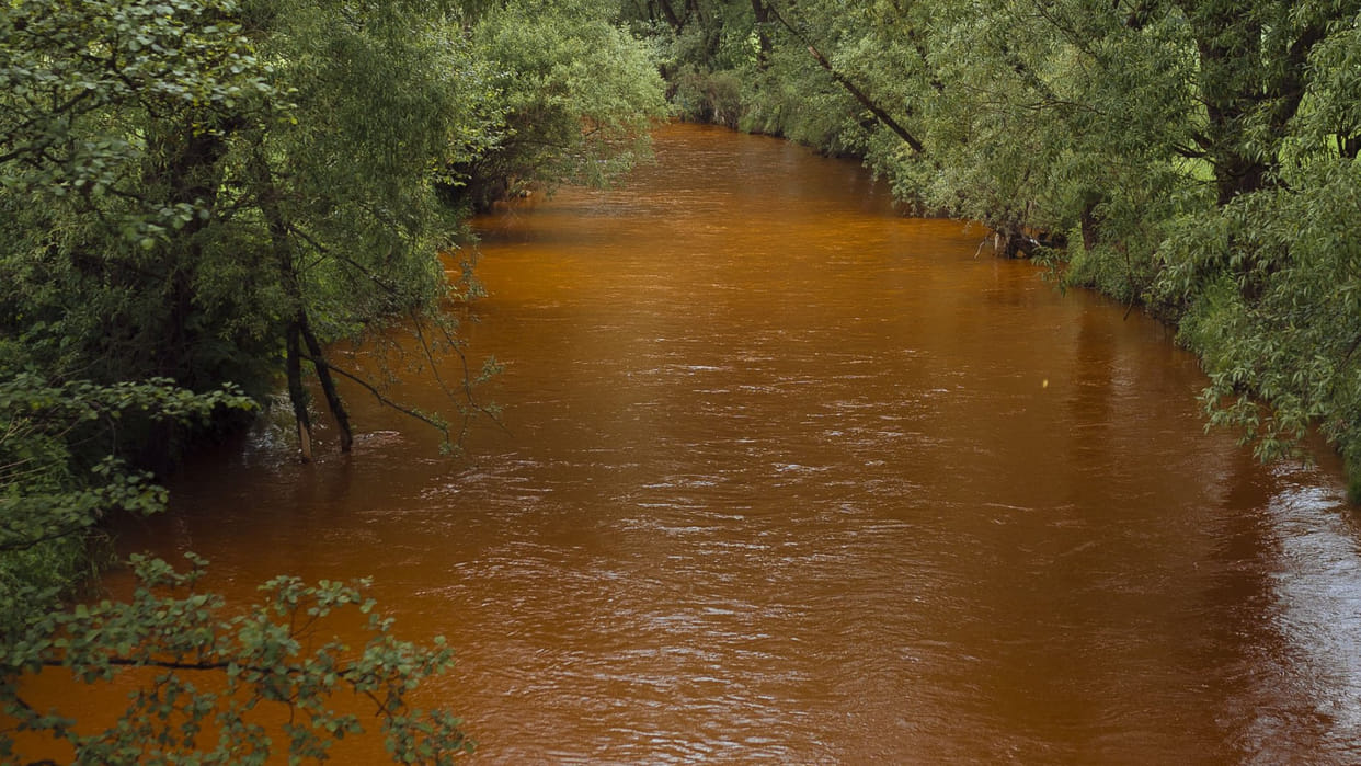 Mystery as river turns orange and kills wildlife becoming 'ecological disaster people in panic slana