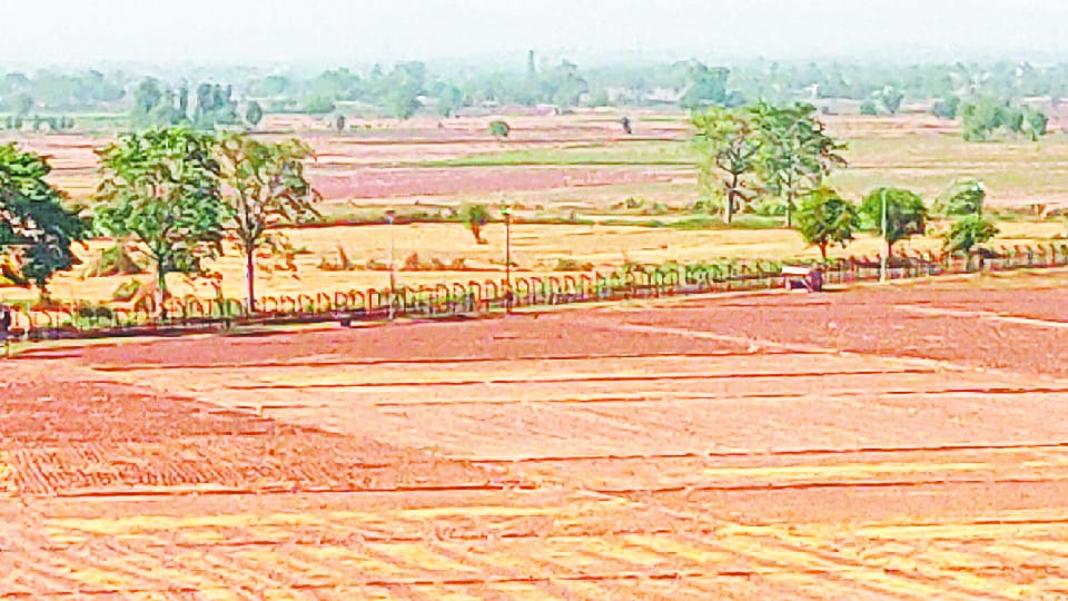 Ground Report of Border villages of Pathankot