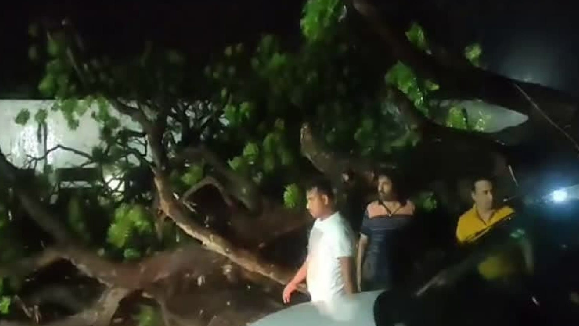 rain and windstorm in Rajasthan hailstorm in bundi see pictures of rain