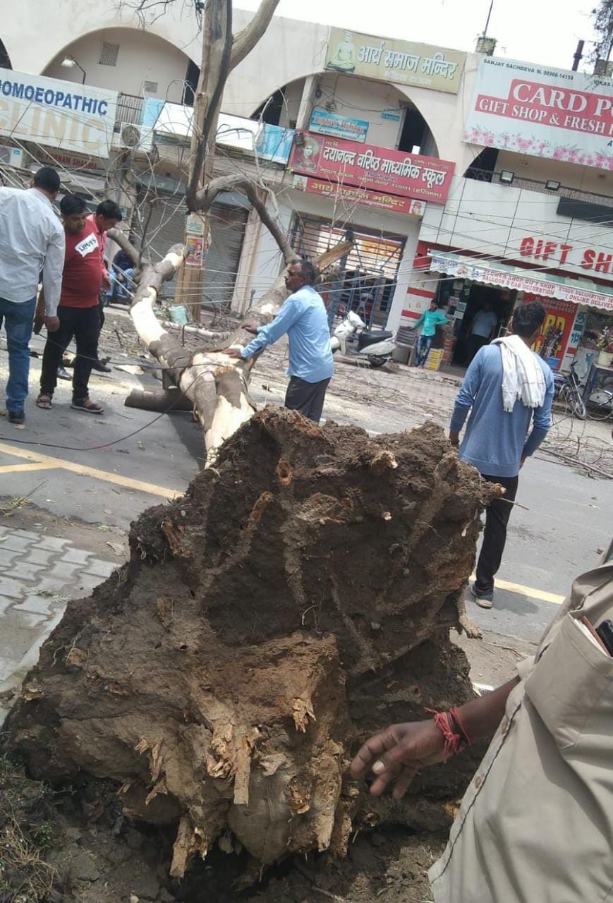 Rain of relief, storm became a disaster