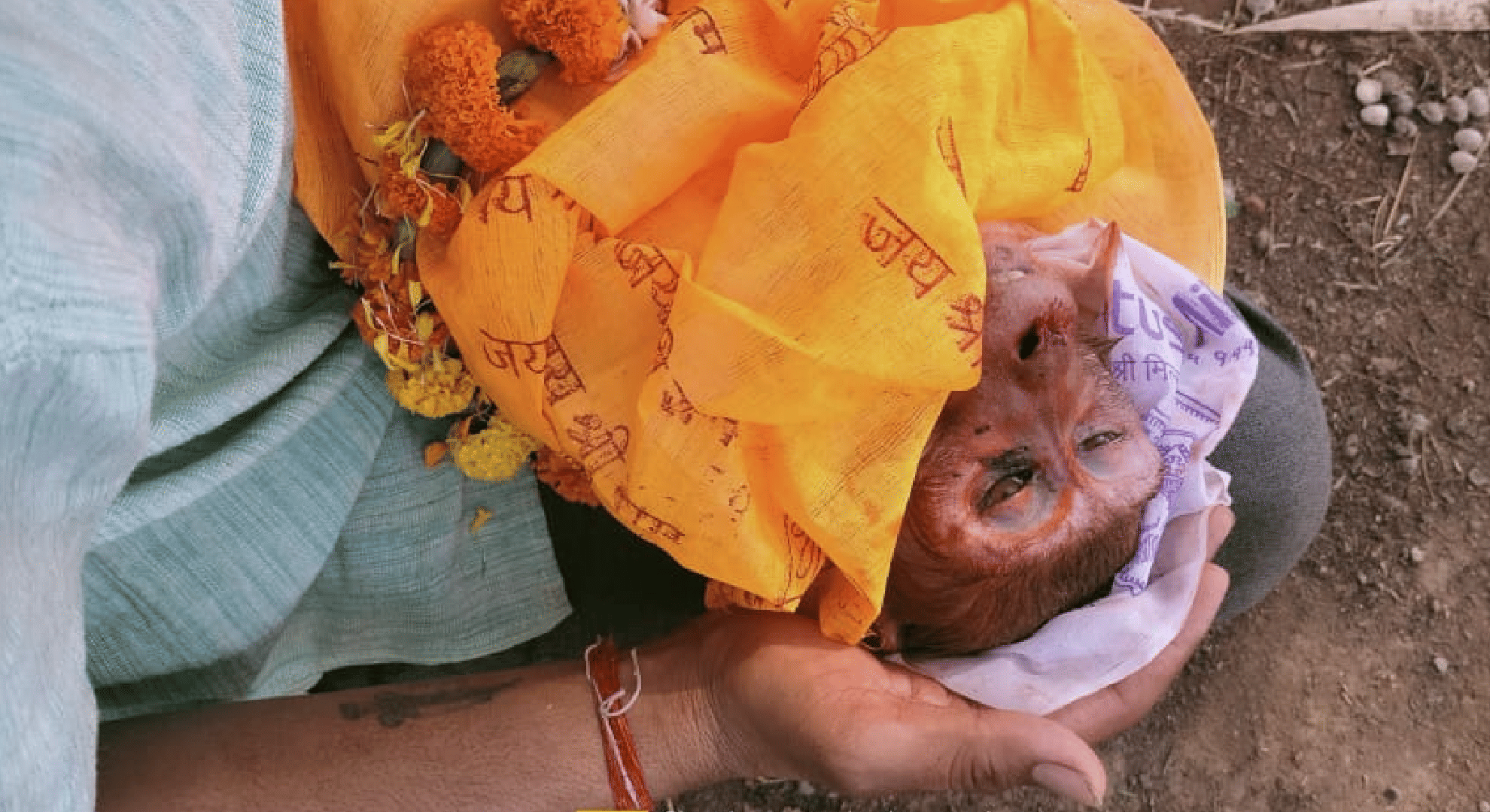 Rewa News: After the death of a monkey, people performed last rites
