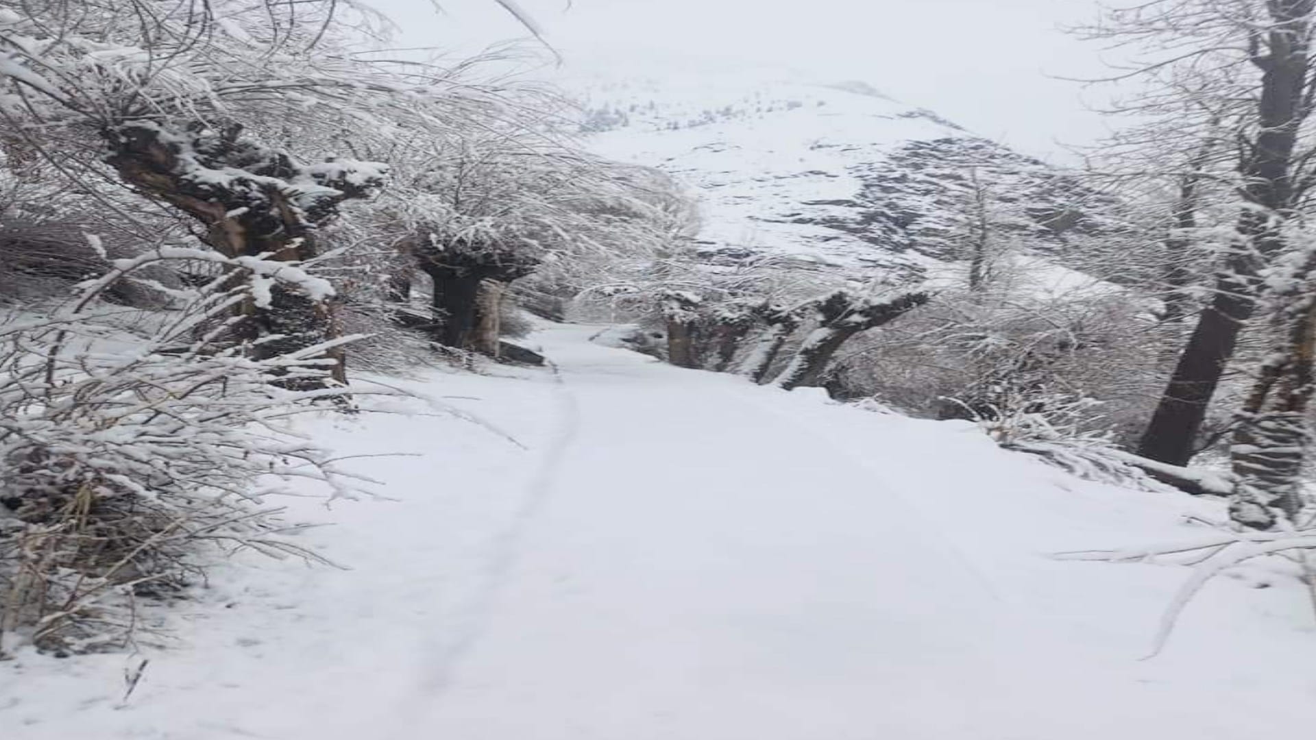 Weather Himachal update: By the end of May the residential areas of Lahaul were covered with snow, in other parts including Shimla, the cold returned