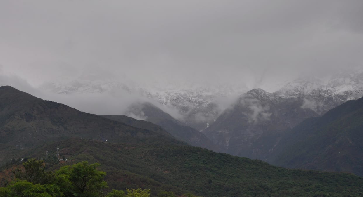 Rain in May: Relief from heat, crops got life