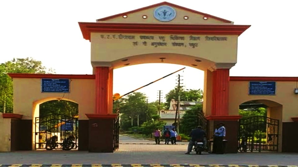 Application process started for admission in Veterinary Science University in Mathura
