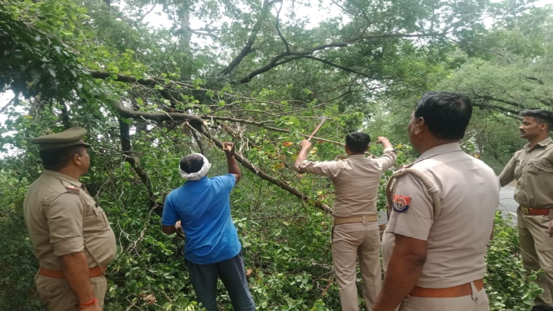 Weather: Destruction due to storm and rain, power supply of hundreds of village stalled, trees and pillars collapsed
