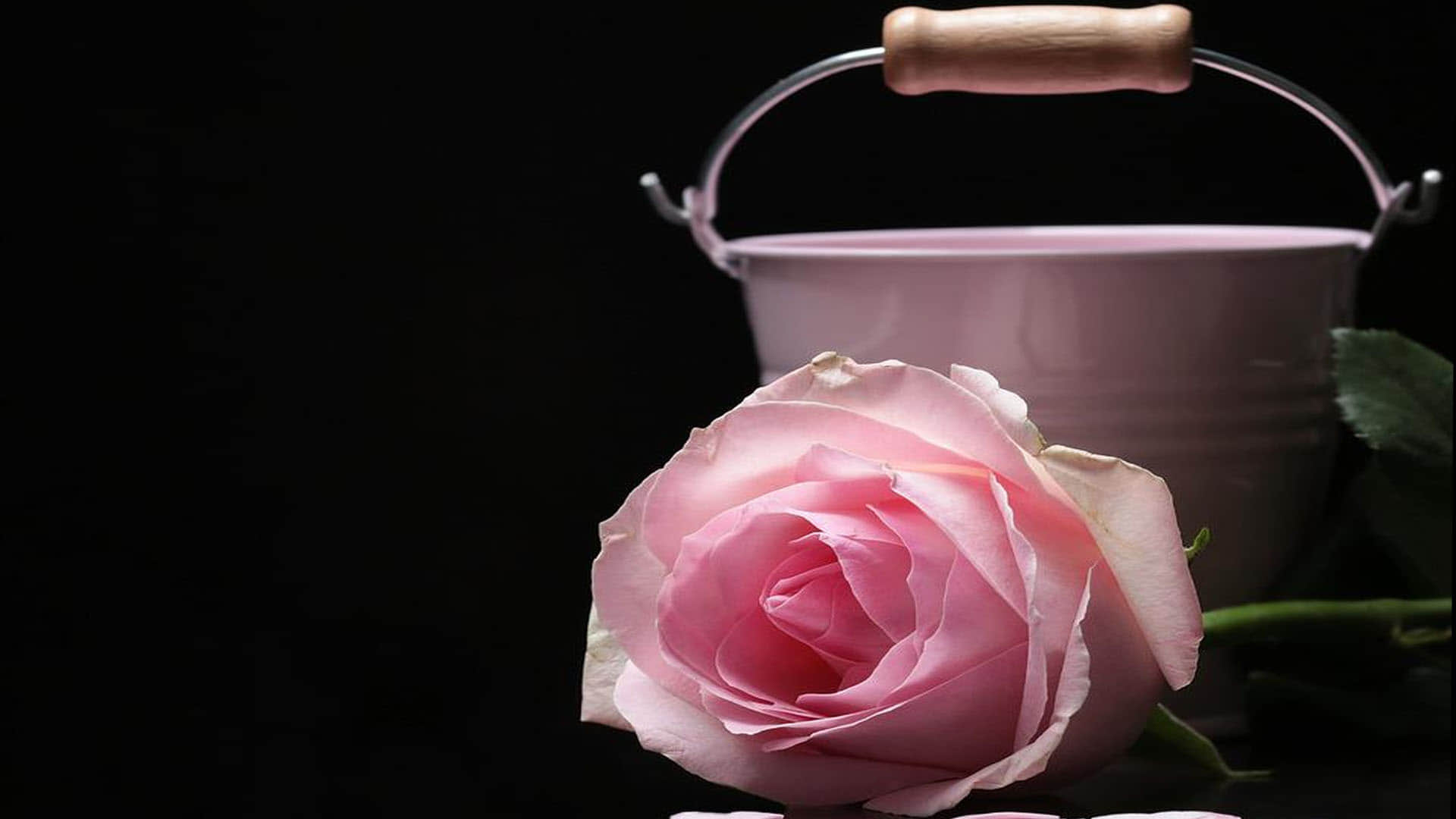 Plastic Bucket Costs 25999 rupees on amazon Socia Media Users says kidney to be sold