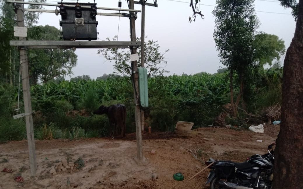 Lineman dies after being hit by high tension line