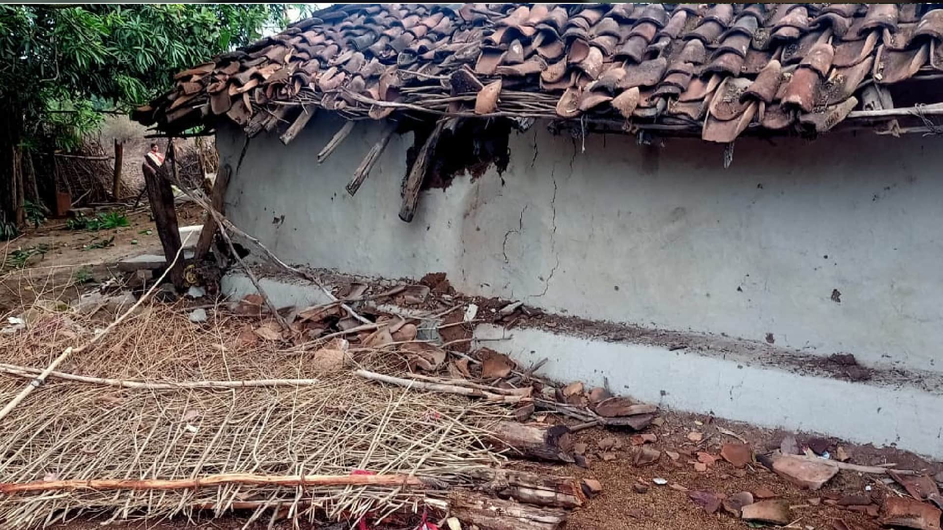 Dindori News: One woman dies after being crushed by a wild elephant, uproar late at night, three houses damaged