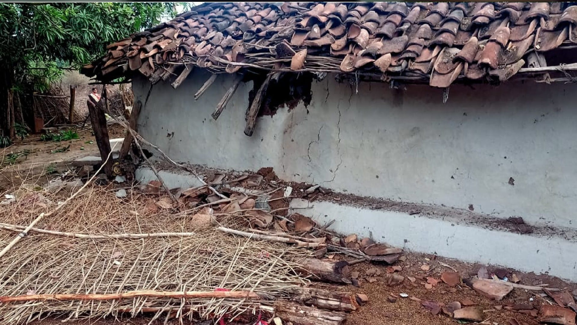 Dindori News: One woman dies after being crushed by a wild elephant, uproar late at night, three houses damaged