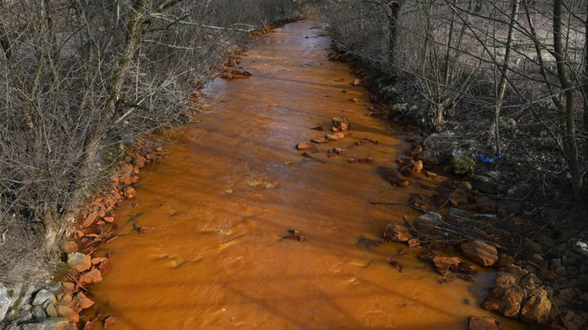 Mystery as river turns orange and kills wildlife becoming 'ecological disaster people in panic slana