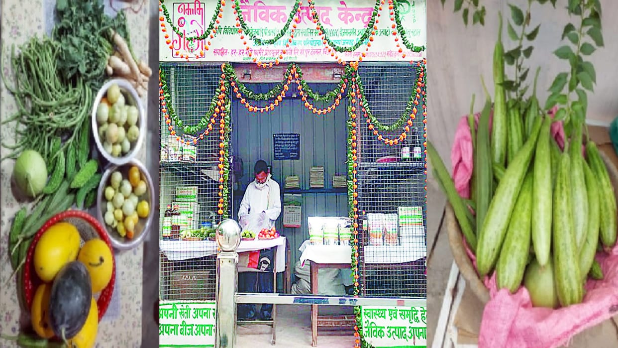 Agriculture: Market of organic vegetables being sold online, publicity is being done on social media