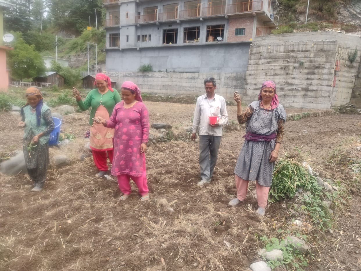 agricultural