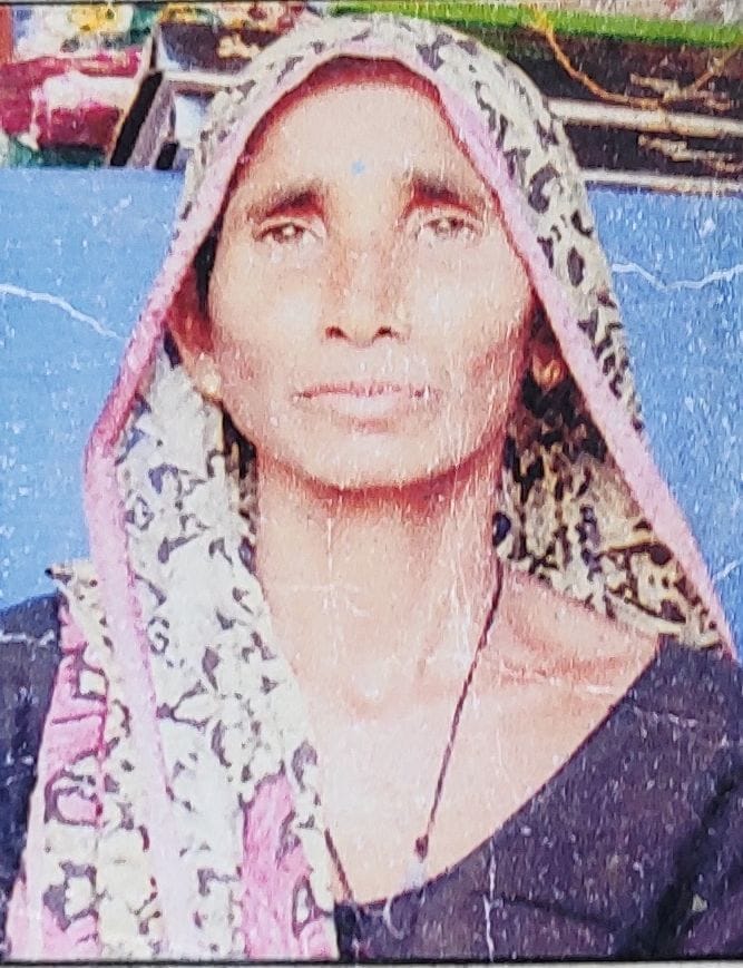 Woman who went to pluck tendu leaves fell from the tree, died
